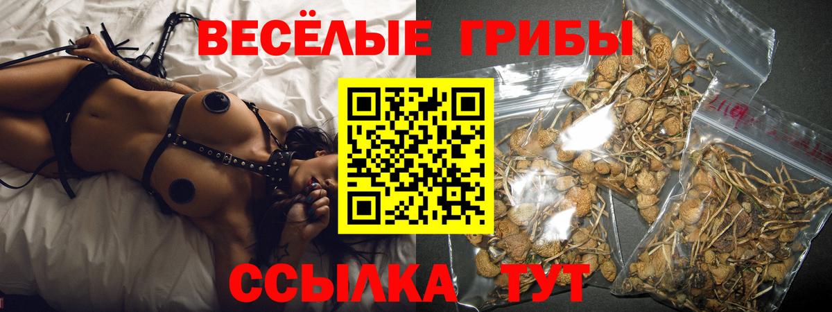 Галлюциногенные грибы Cubensis  цены наркотик  Трёхгорный  Галлюциногенные грибы Cubensis  Вход с VPN 